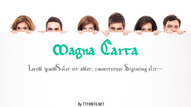 Magna Carta example